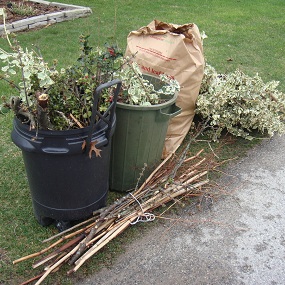 Yard Waste Set-out